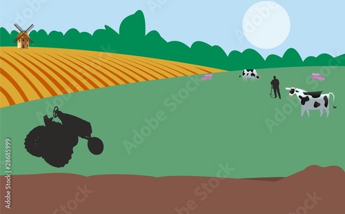 tractor vacas