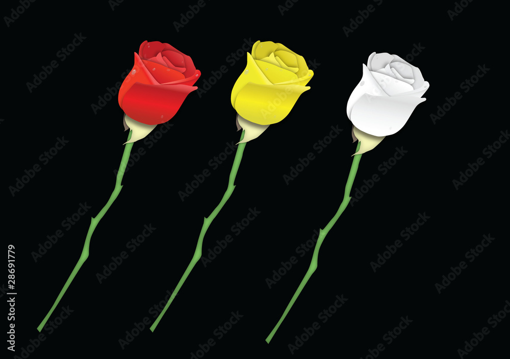 Roses