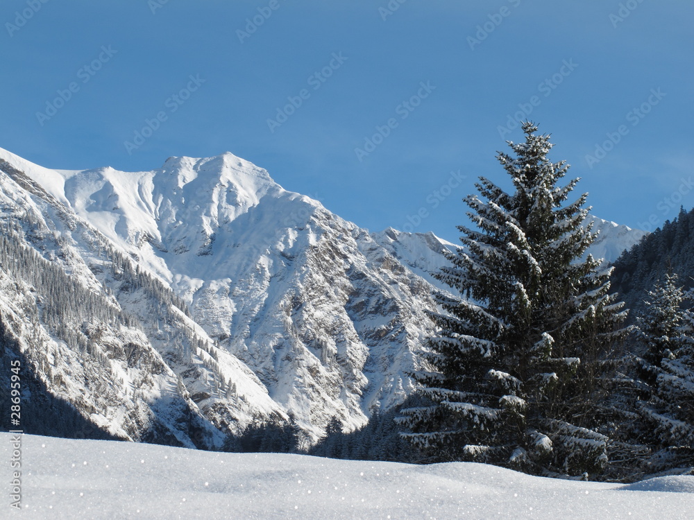 Berge im Winter - Schochen