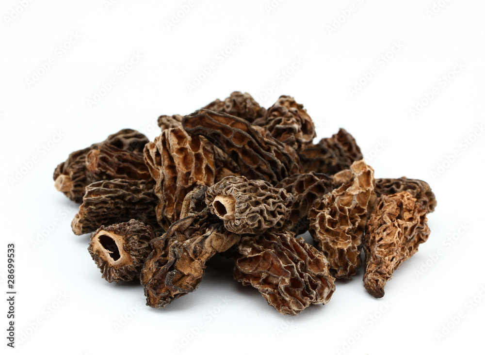 Morcheln Pilze Morcheln Pilze