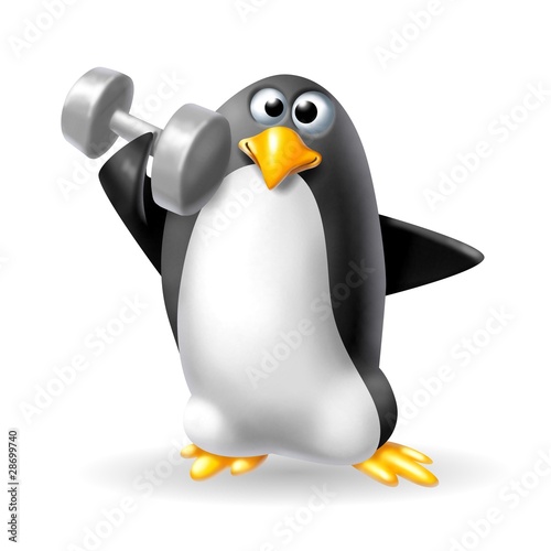 pinguino in palestra photo