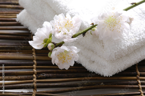 cherry blossom with towel
