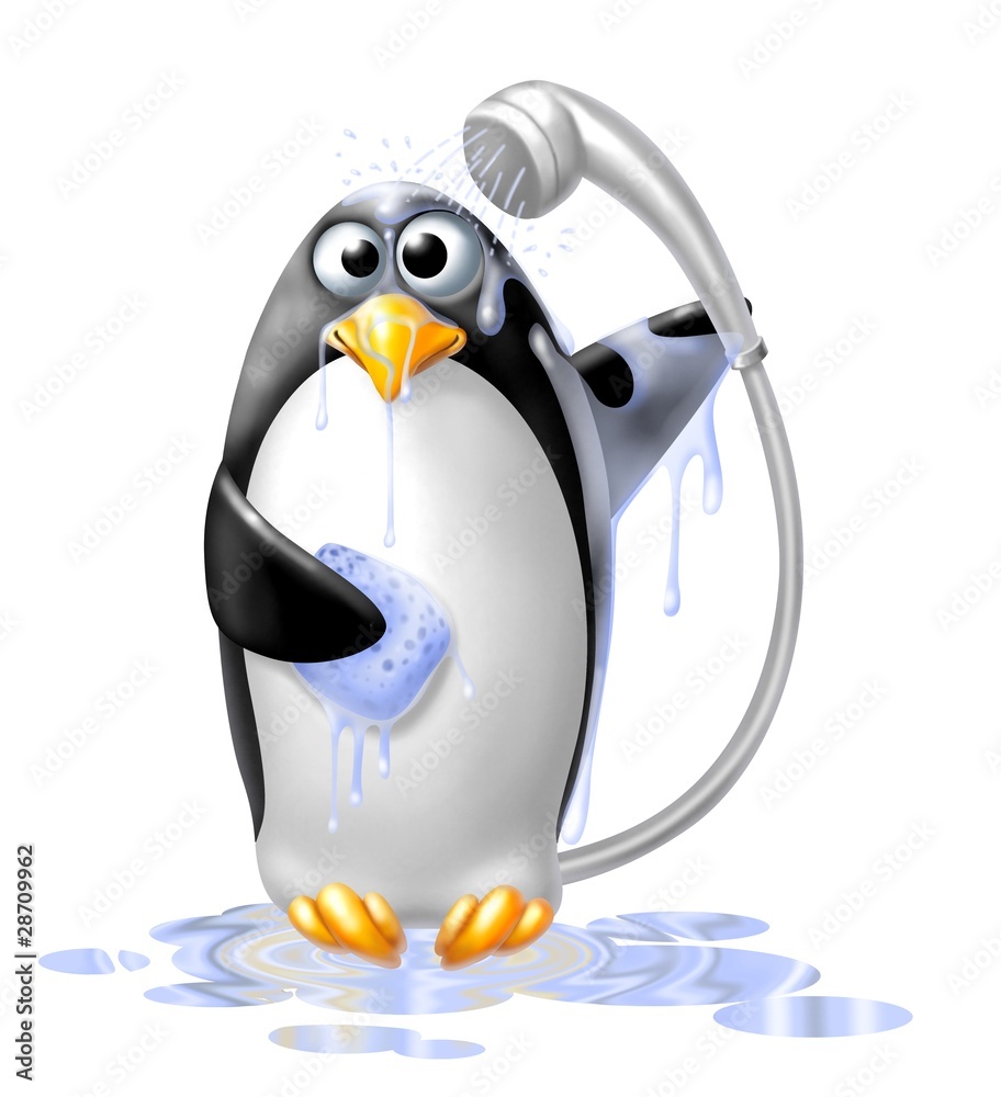 Fototapeta premium pinguino doccia