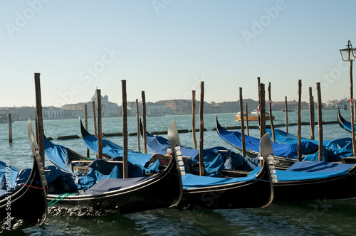 moored gondolas