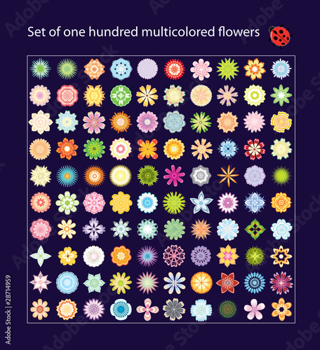 Set of one hundred flowers