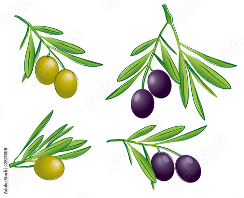 aceitunas trazo
