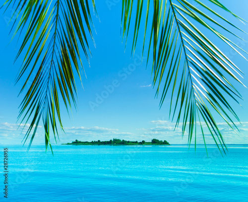 Sea Palm Fantasy © alma_sacra