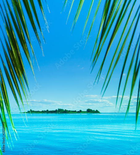 Sea Heaven Palm