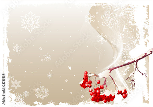 Ash Tree Branch Winter Background