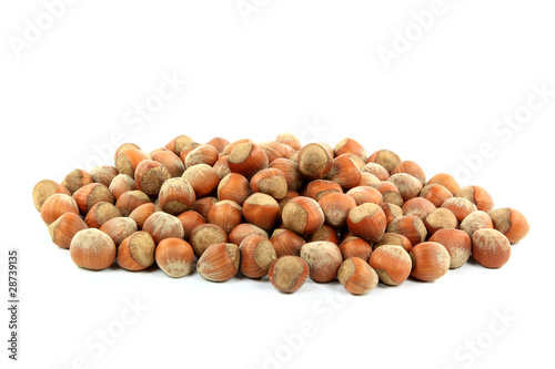 Pile Unshelled Hazelnuts Nuts.