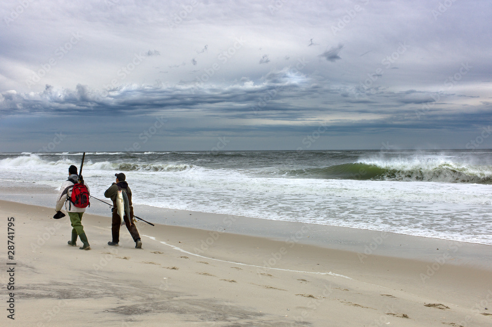 Fishermen walking beach with poles and fish in winter Fishermen walking beach with poles and fish in winter