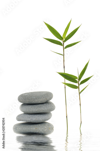 bamboo leaves with zen stone