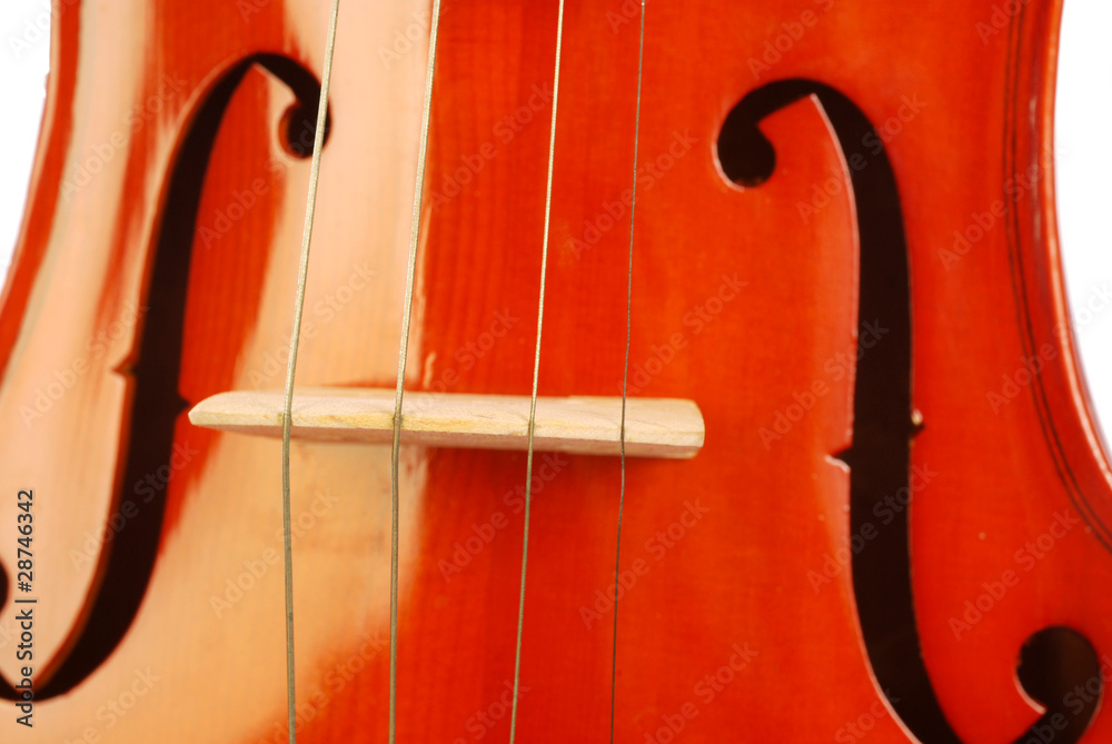 violino 001