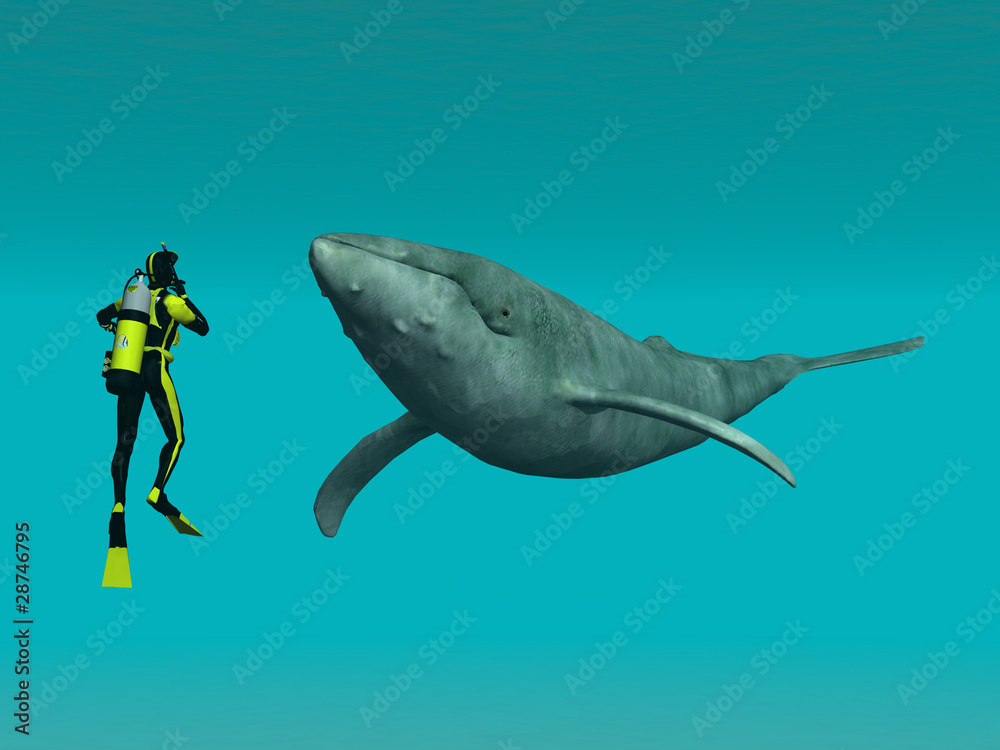 Fototapeta premium Nurek z wielorybem