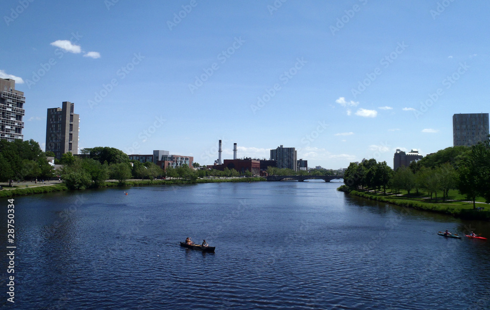 People rowing in boats on the Charles river by Harvard Universit