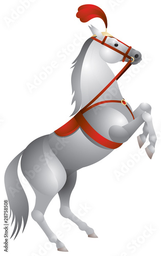 Horse circus performance