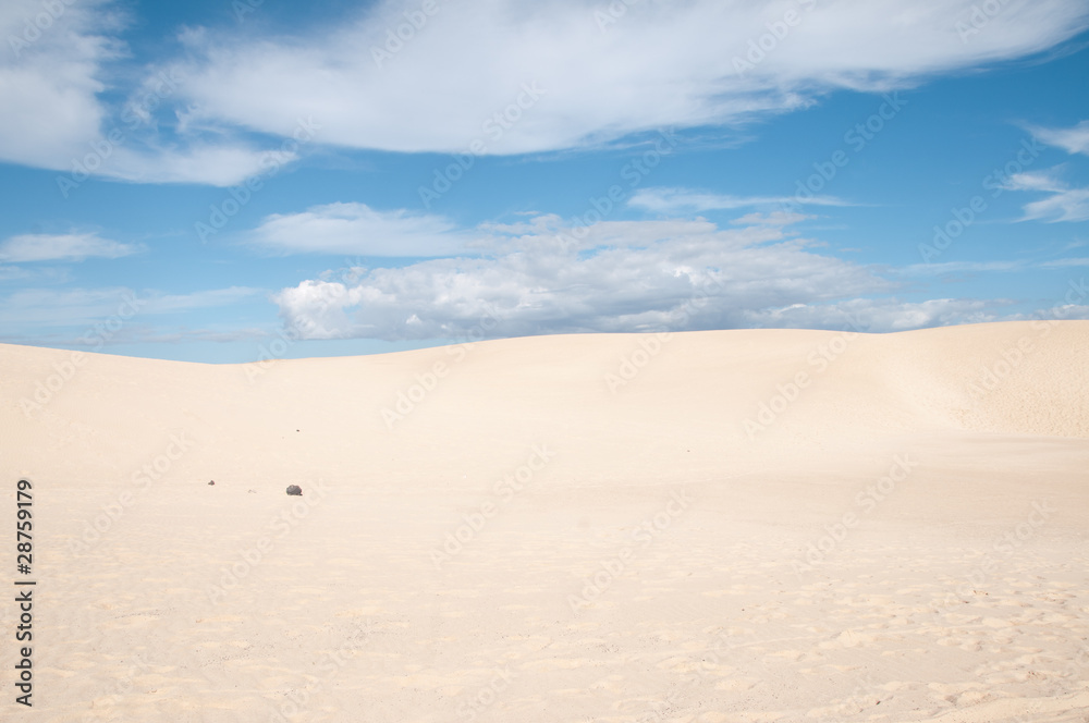 Dunas del desierto