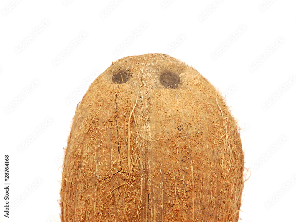 Fototapeta premium Coconut