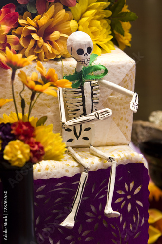 Day of the Dead Skeleton