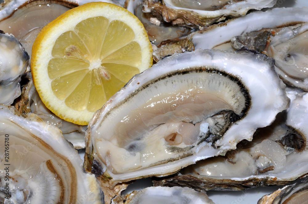 huitres huîtres coquillage fêtes