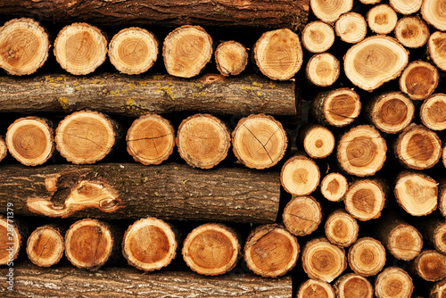 Winter fuel - beautifully ordered woodpile background
