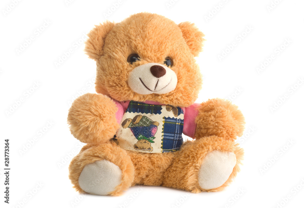 Obraz premium игушечный медведь