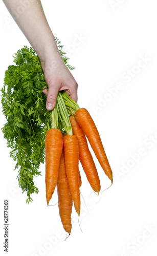 carrots photo