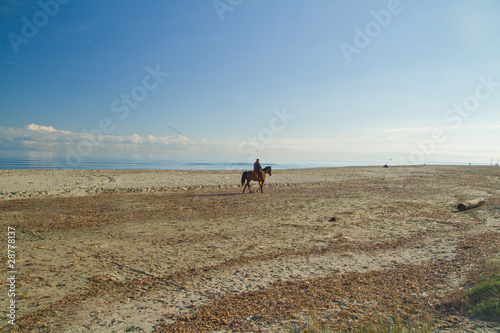 promenade a cheval sur la plage