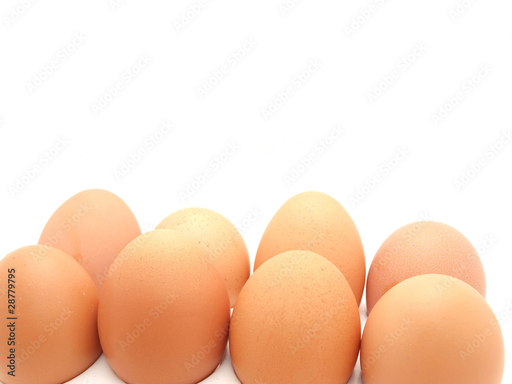 Eggs Eggs