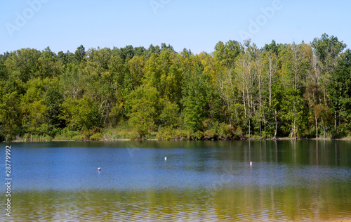 Scenic landscape of tree reflections in summer time