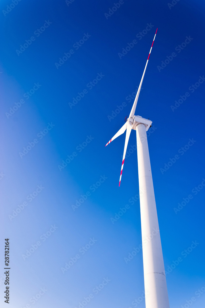 windmill windmill