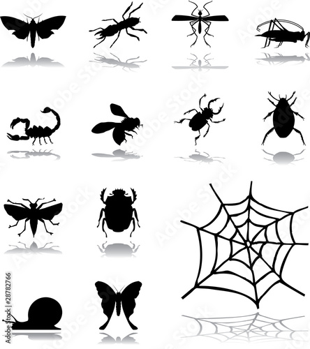 Set icons - 160. Insects © Markov