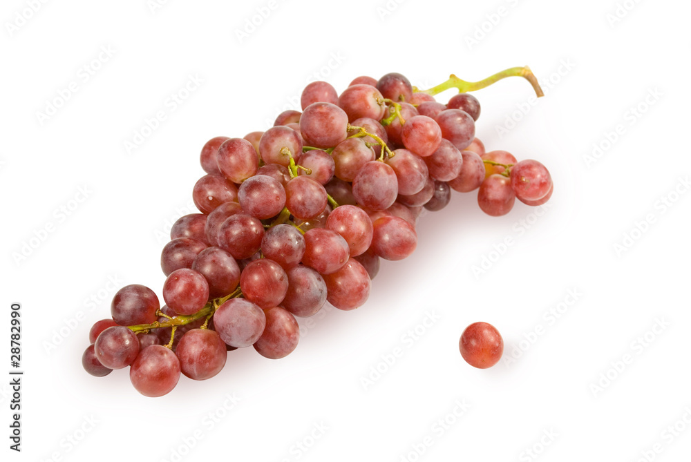 Fototapeta premium Grapes branch