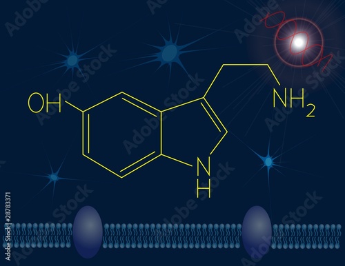 Serotonin chemical structure photo