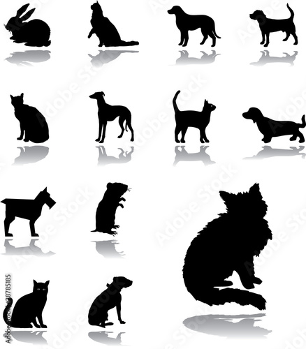 Set icons - 169. Pets