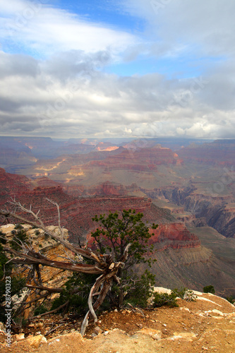 Grand Canyon National Park, USA.. © Chee-Onn Leong
