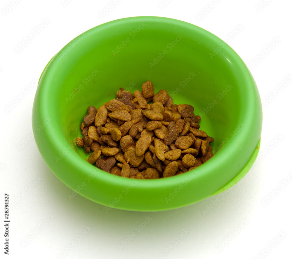 Green pet bowl with biscuits Green pet bowl with biscuits