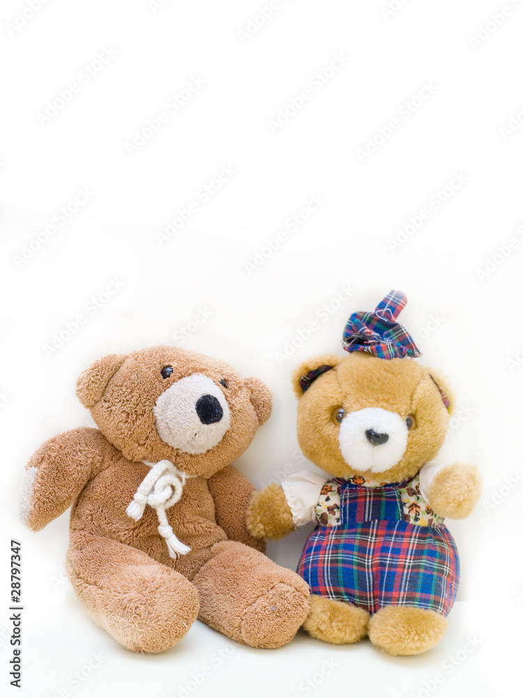 peluche maschio e femmina peluche maschio e femmina