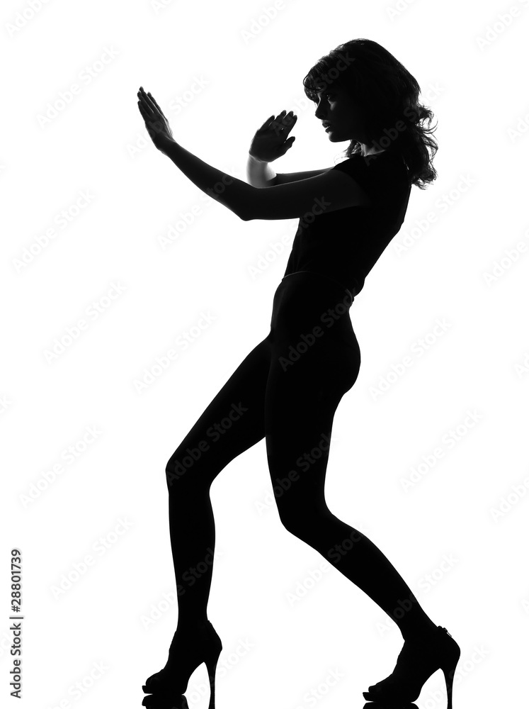 silhouette woman fight karate