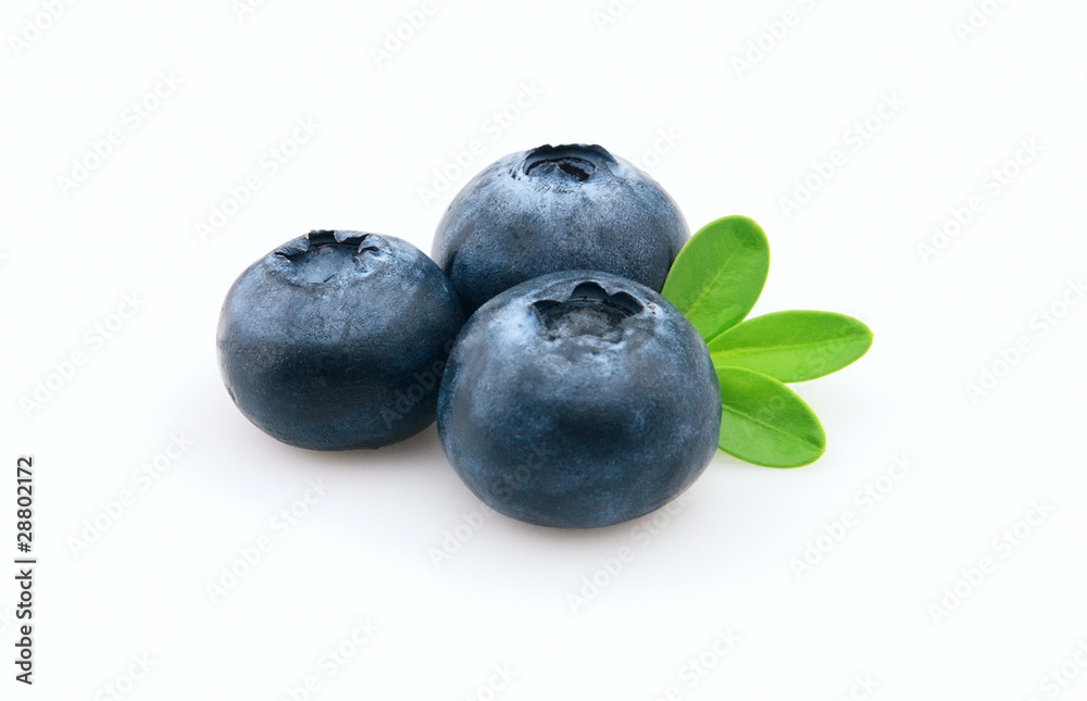 Blueberry Blueberry