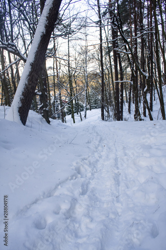 Winter in Poland © anilah
