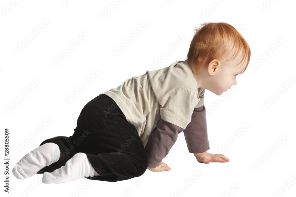 little boy isolated on white background little boy isolated on white background
