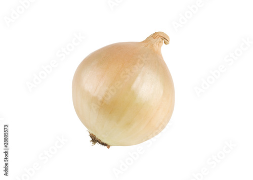 Wallpaper Mural Onion Torontodigital.ca