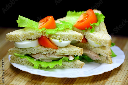 Two tasty sanwiches on the white plate