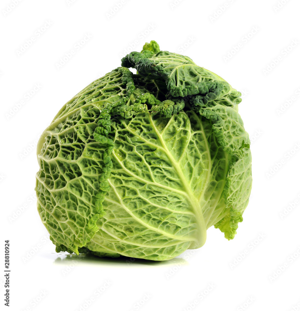 Fototapeta premium Head of Cabbage