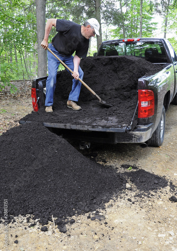Man unloading compost from pickup truck