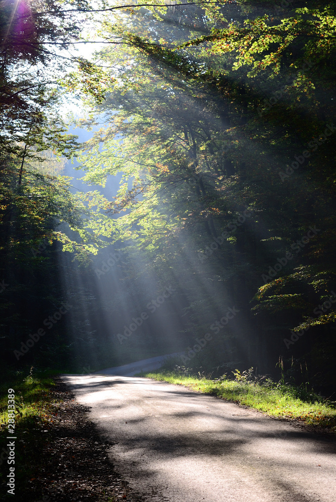 Obraz premium Herbststimmung