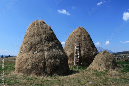 Fotografie meules de foin au Monténégro