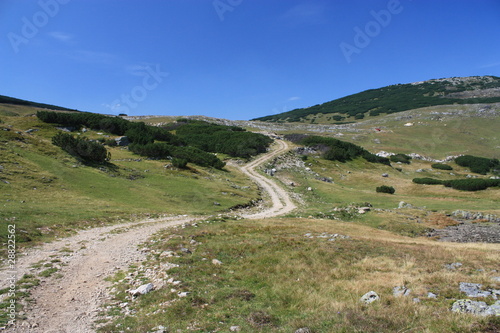 chemin dans la montagne de Bosnie