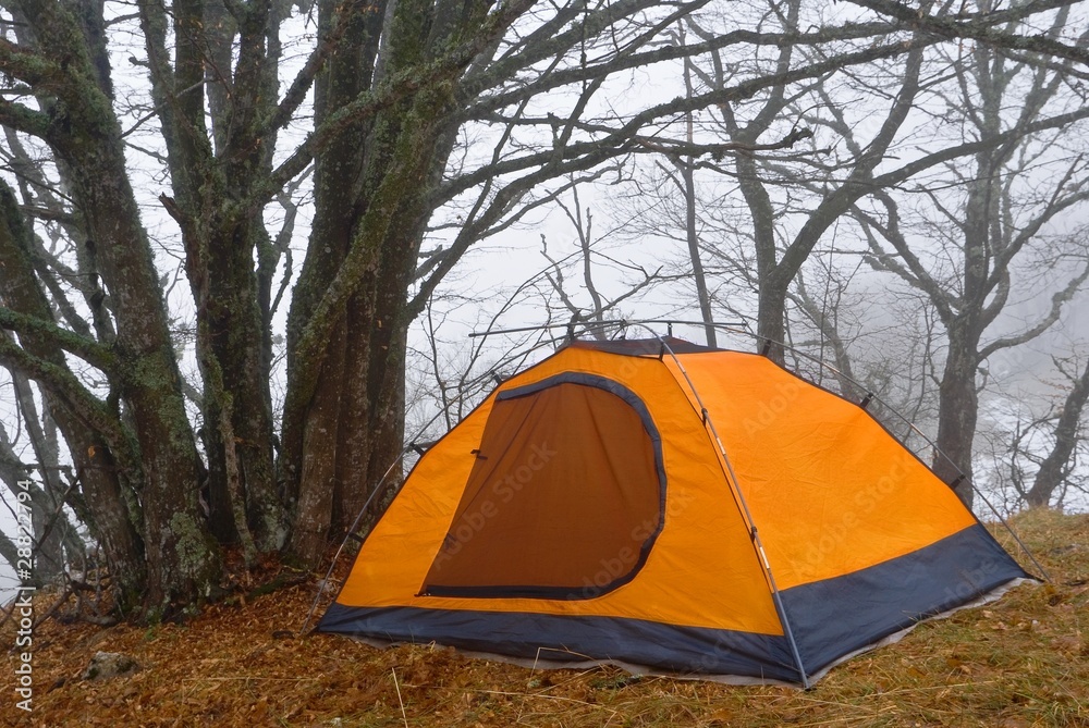orange touristic tent in a quiet forest